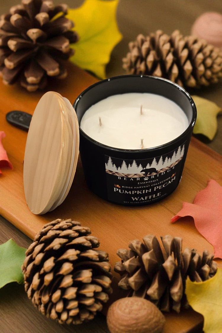 3 Wick Soy Candle