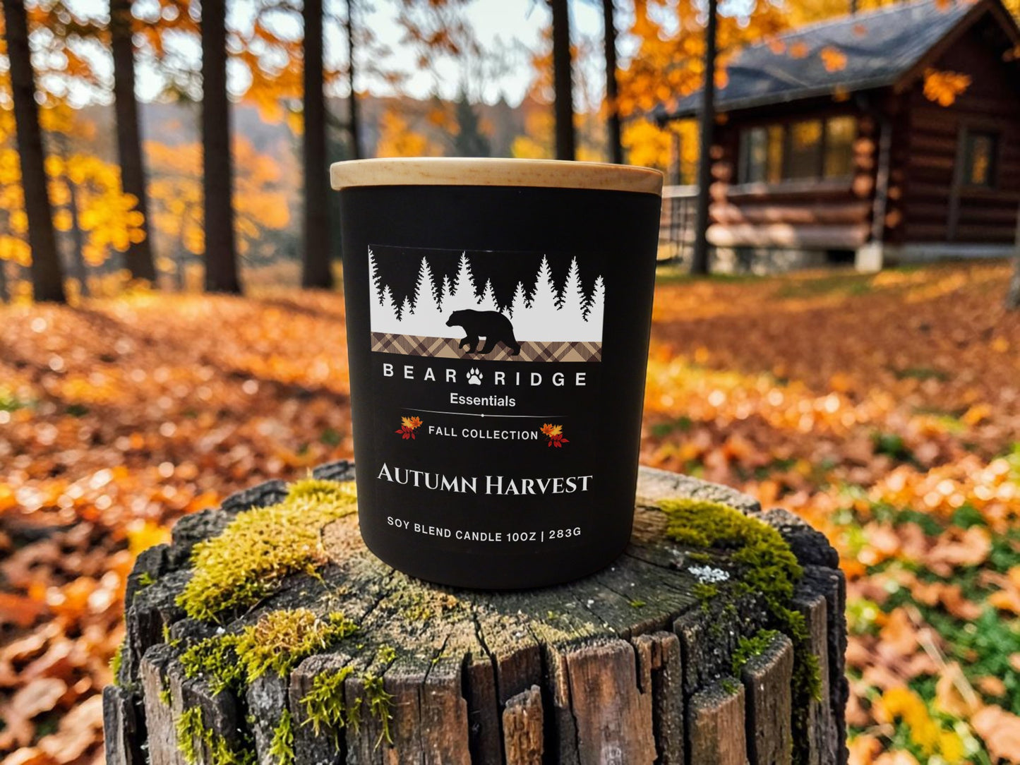 Autumn Harvest 10 oz Candle