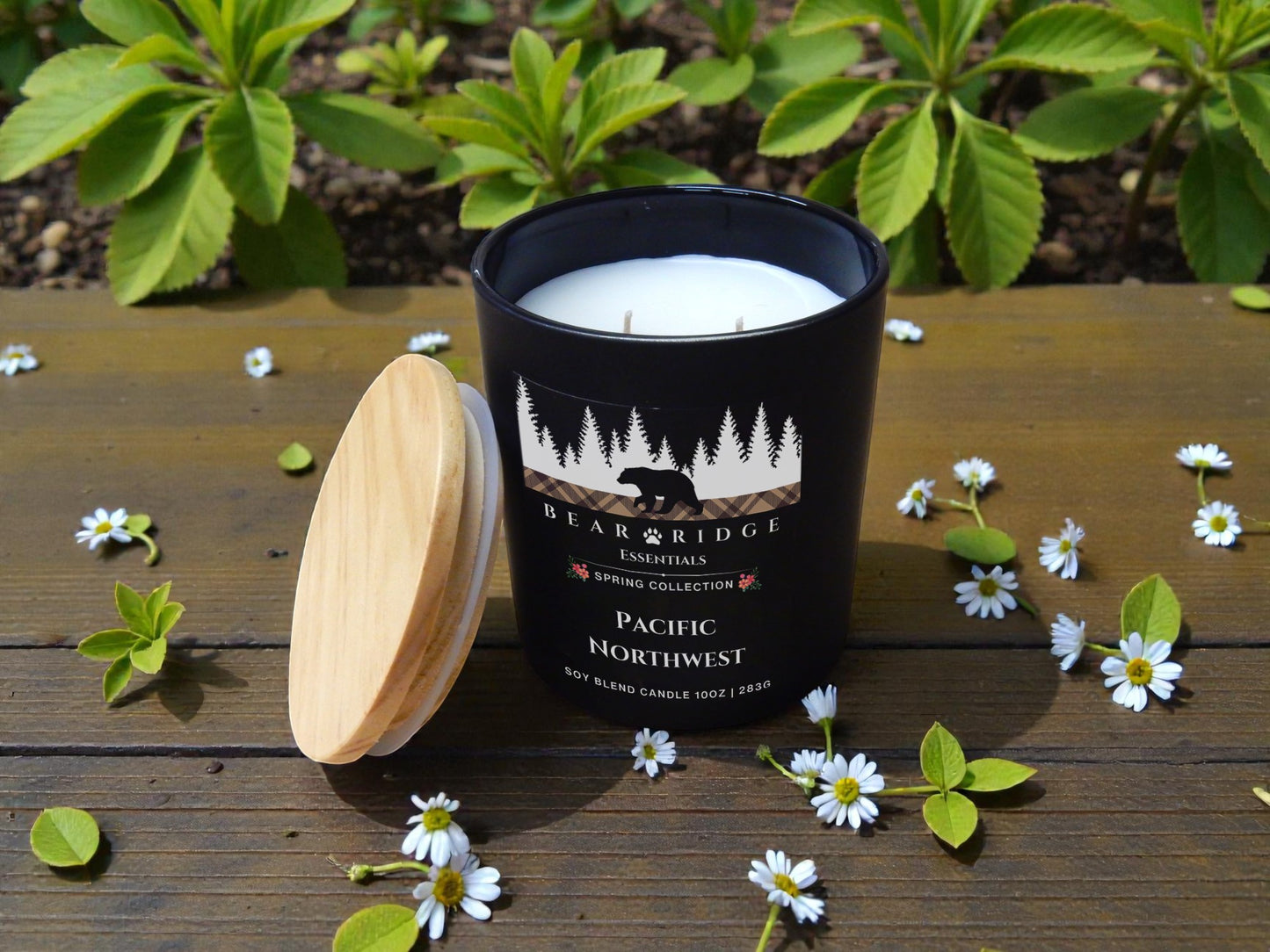 Pacific Northwest 10 oz Candle