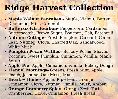 Bear Ridge Discovery Packs