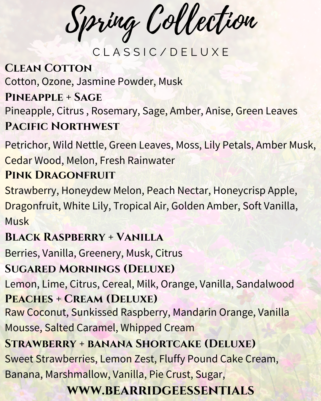 Bear Ridge Discovery Packs